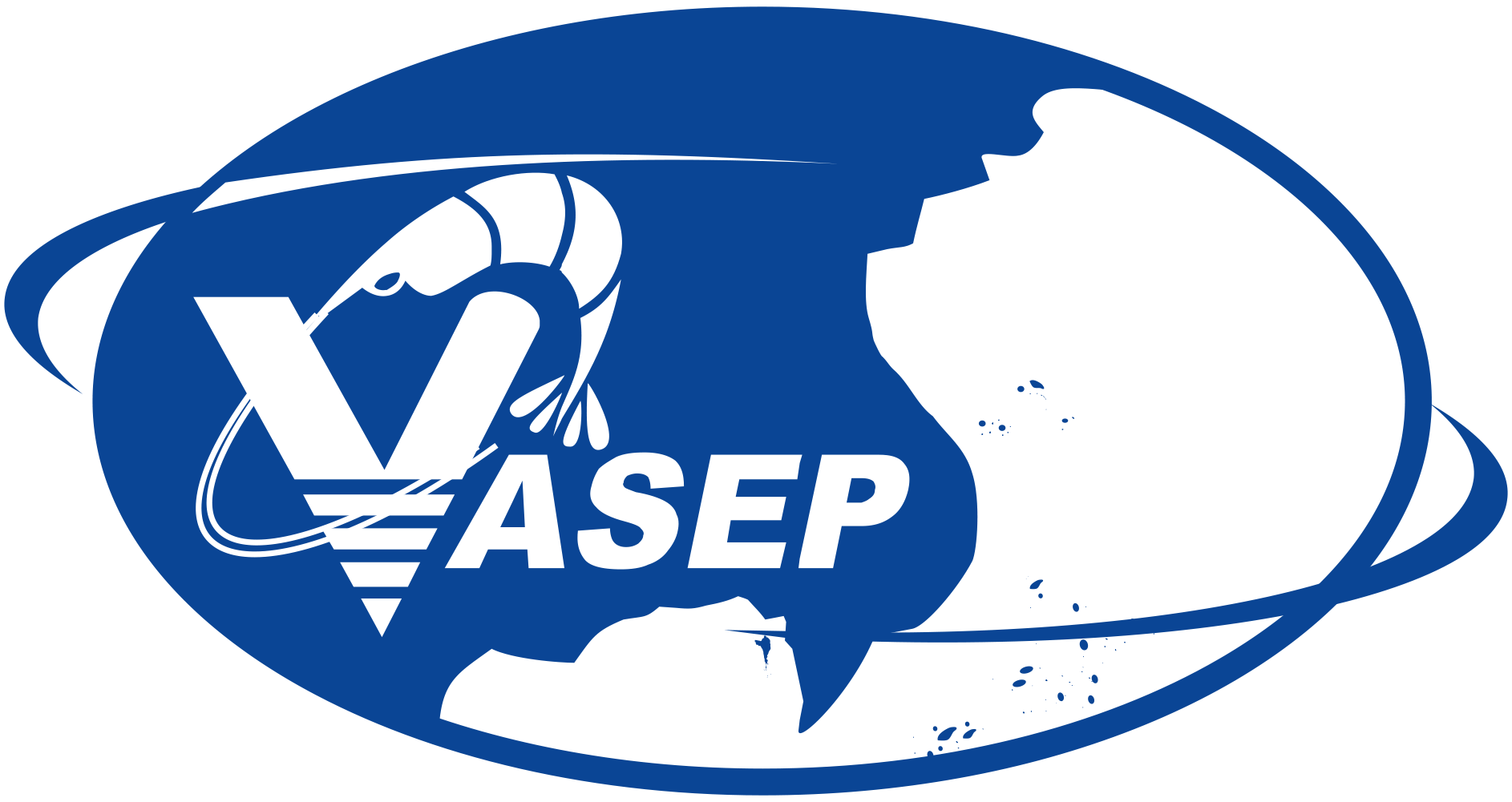 vasep